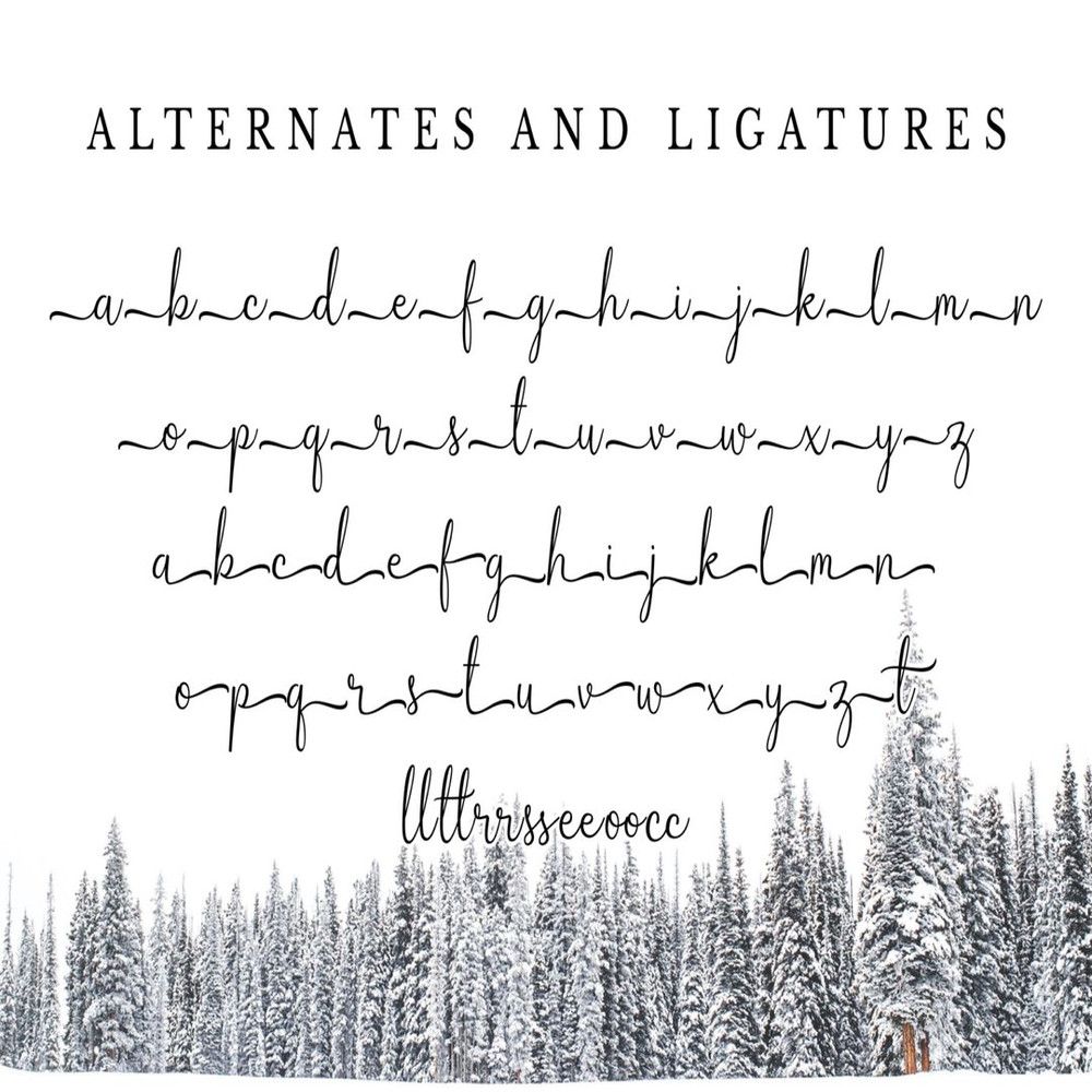 1080x1080 size Winterbean-prev12-1536x1024.jpg