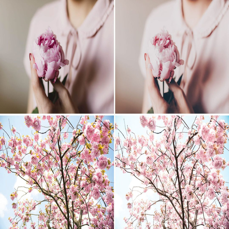 1080x1080 size 52_PINK_AND_NUDE_10-1536x1024.jpg