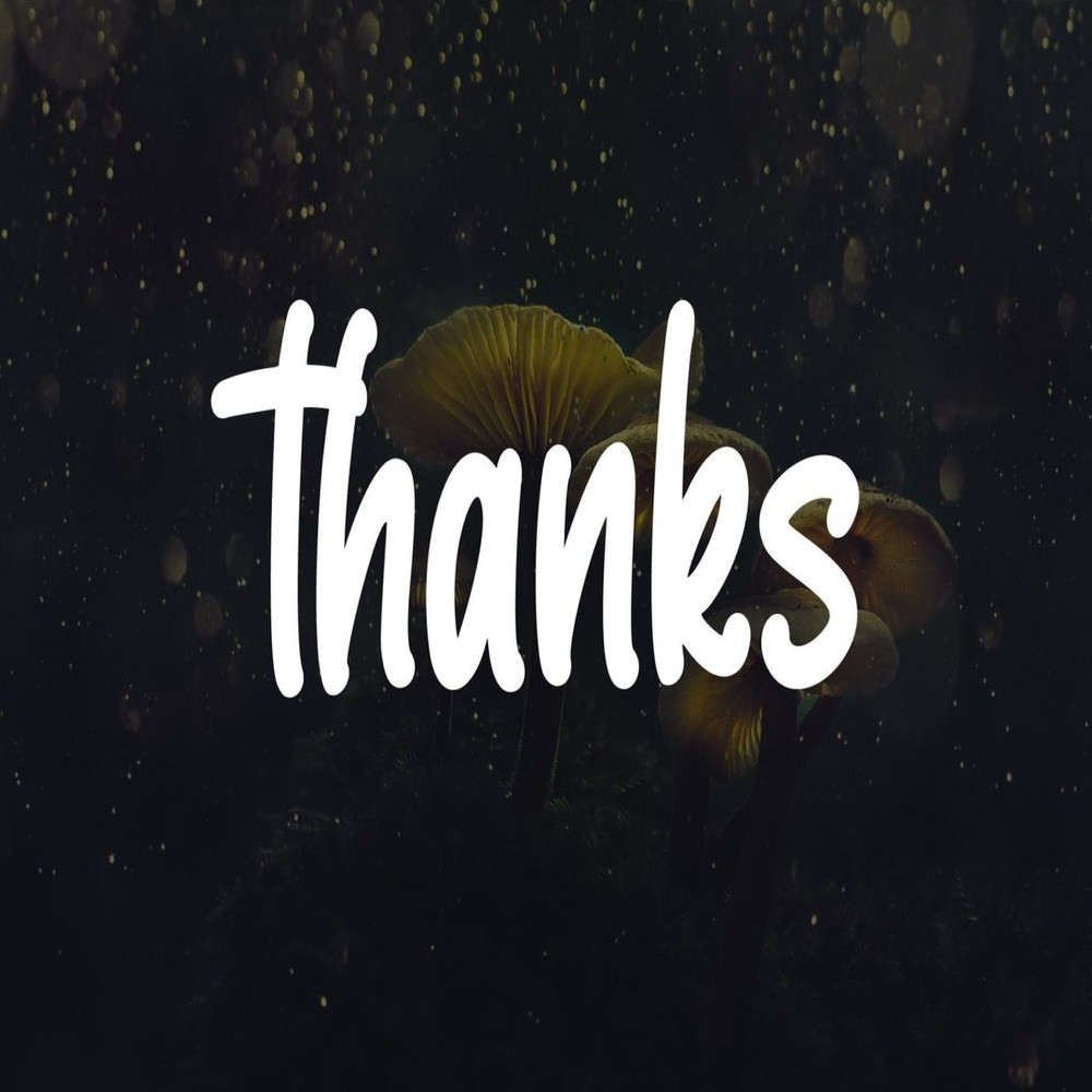 1080x1080 size 11-20-1594x1062.jpg