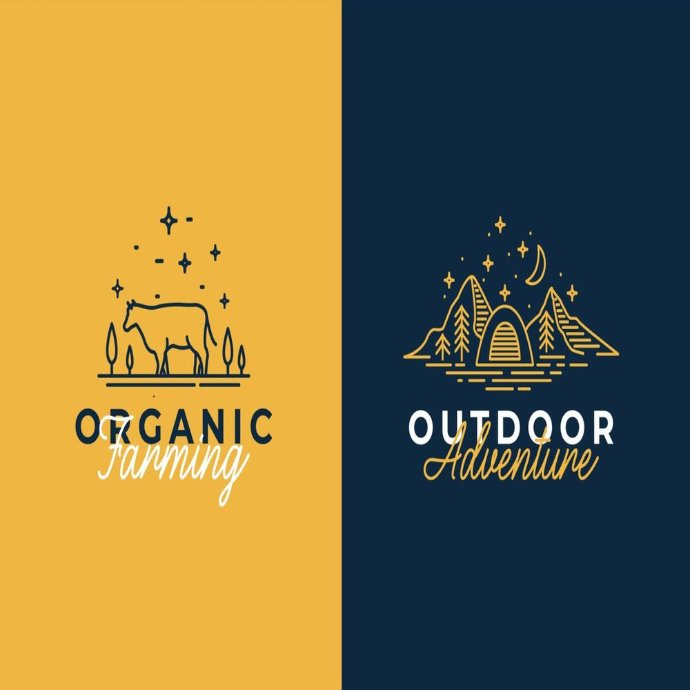 1080x1080 size 3-226-1594x1062.jpg