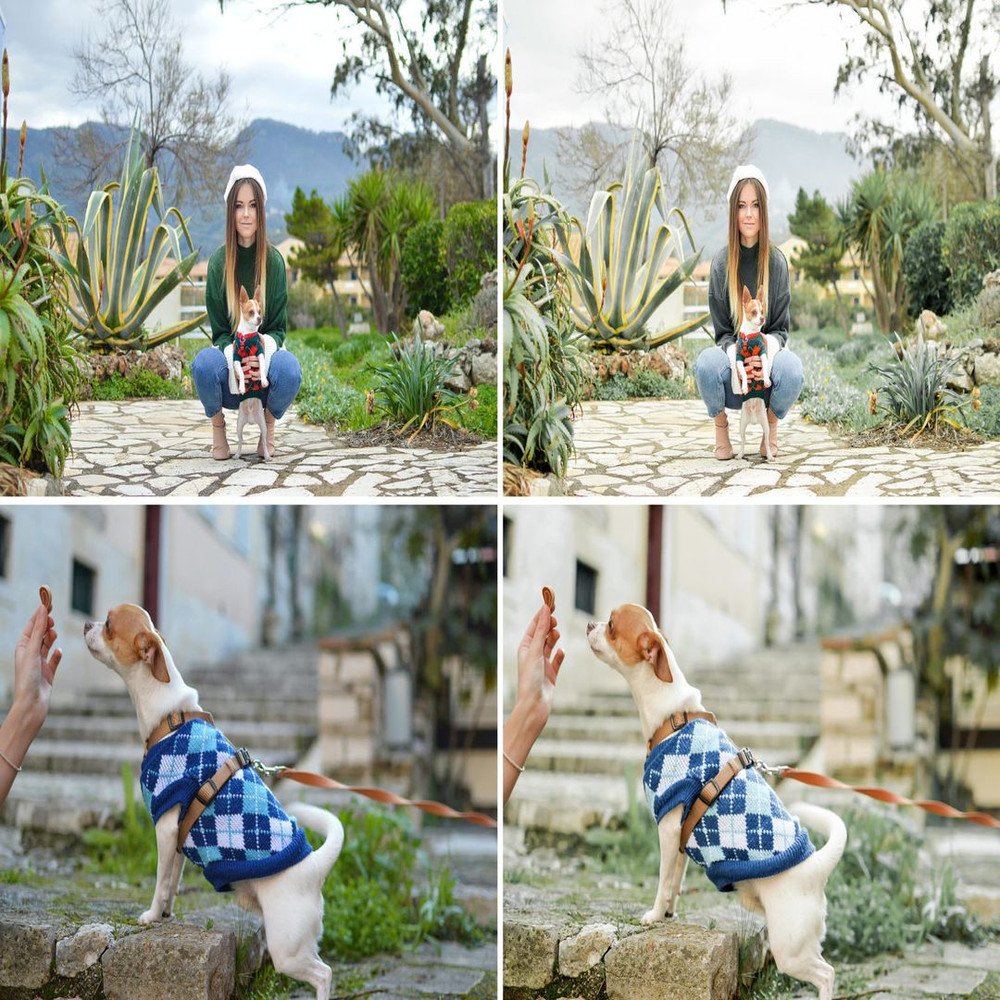 1080x1080 size 70.Single_Malt_02-1594x1062.jpg