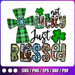 not lucky just blessed, st patrick is day christian faith png, st. patrick is png, kids st patricks day shirt