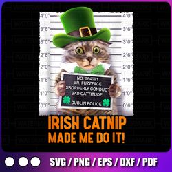 irish catnip made me do it! funny st. patrick's day cat png, cute st. patrick's day, funny st. patricks day,