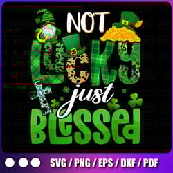 not lucky just blessed st patrick is day png, st patrick is day png, st patrick is day t-shirt, christian png