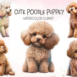 05 files of cute poodle puppey png animal lover sublimation watercolor clipart