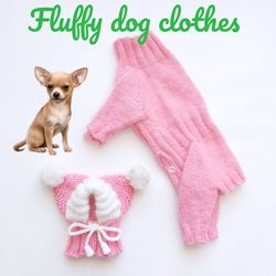 Fluffy dog set for a small dog. Dog jumpsuit and dog hat. Cute pet clothes.