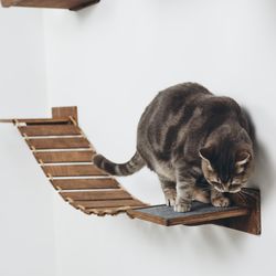 Cat Bridge, Wall Mounted Cat Furniture, Cat Furniture Wall Bridge, Cat Ladder, Kitten Bridge, Cat Climbing Wall,