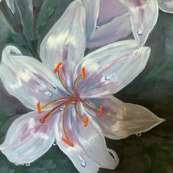 Lily, white flower, oil painting