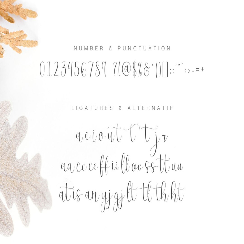 1080x1080 size Artboard-123.jpg