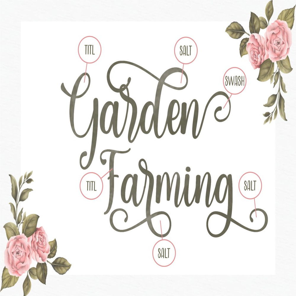 1080x1080 size 2-24-1594x1062.jpg