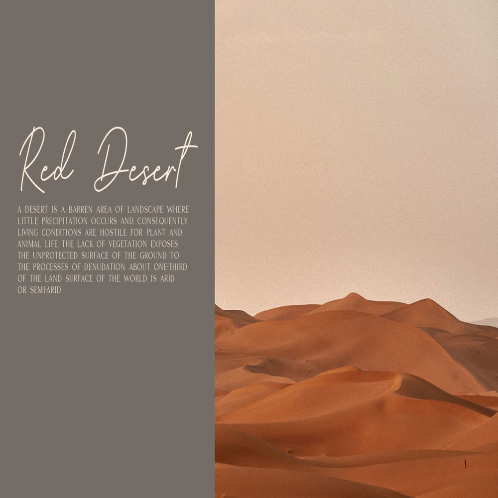 1080x1080 size 1-304-1594x1062.jpg