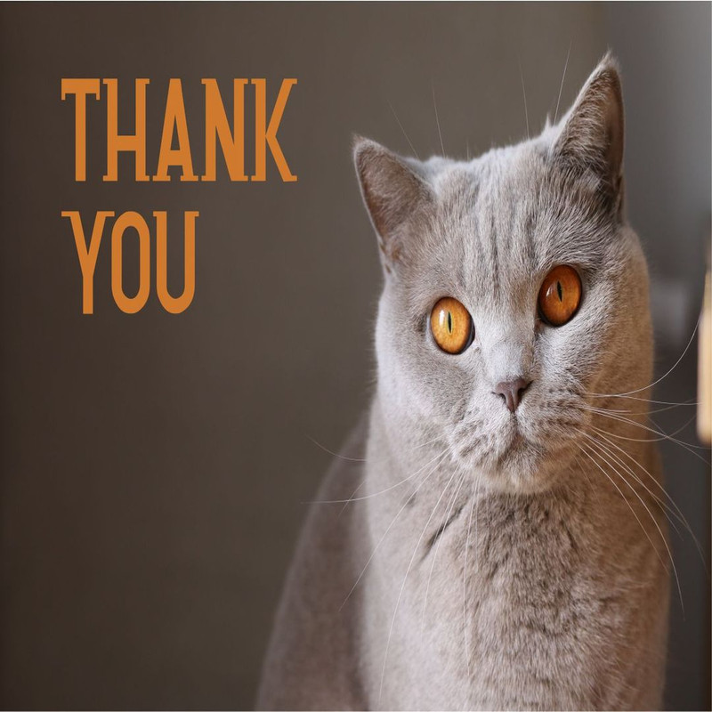 1080x1080 size 7-182.jpg