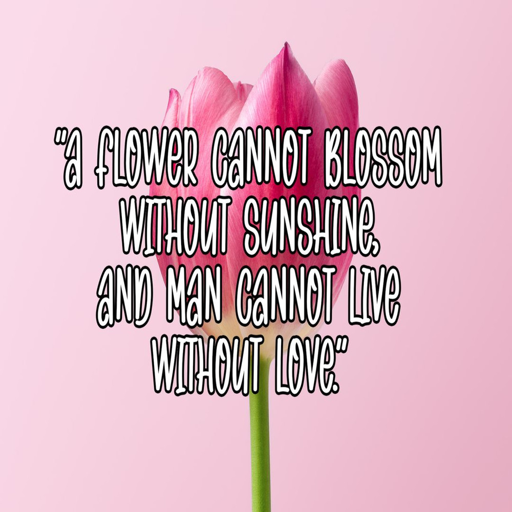 1080x1080 size 5-50-1594x1062.jpg