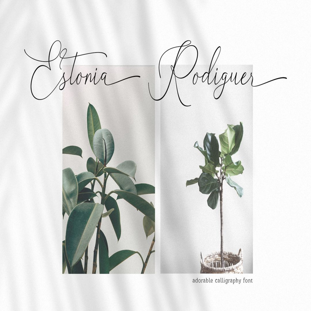 1080x1080 size 5-49-1594x1062.jpg