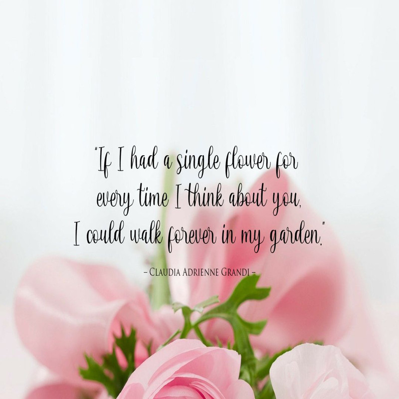 1080x1080 size 7-7-1594x1062.jpg