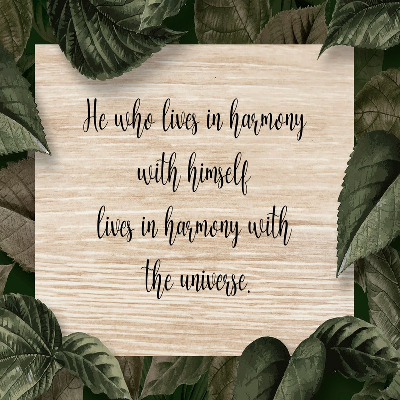 1080x1080 size 2-92-1594x1062.jpg