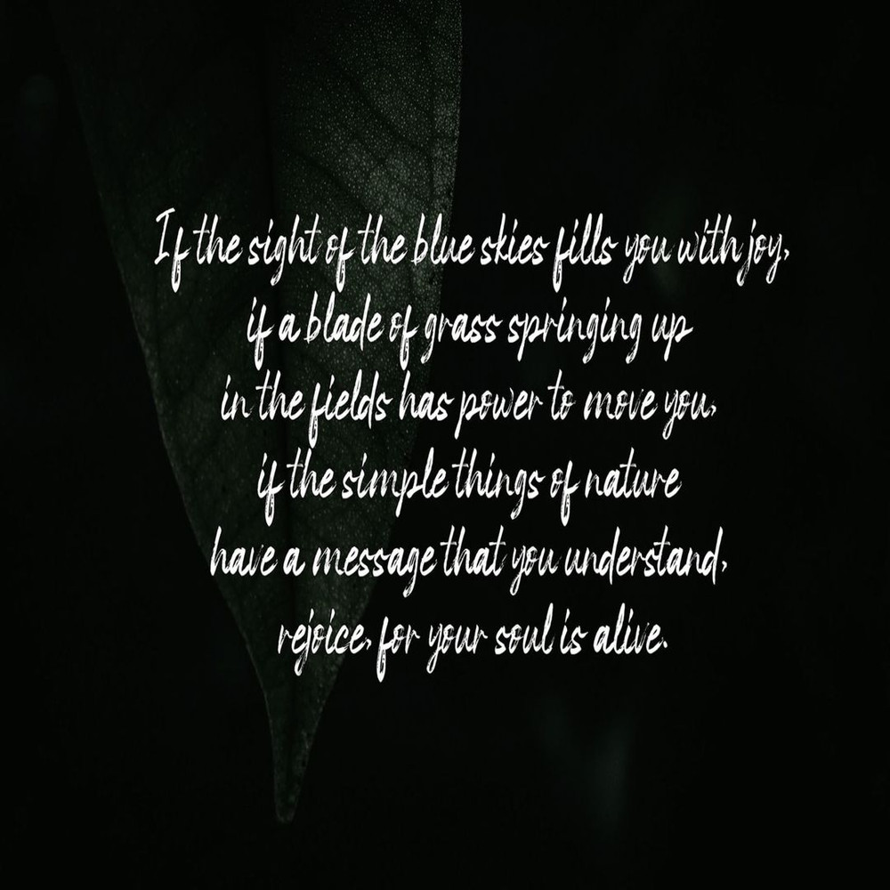 1080x1080 size 3-303-1594x1062.jpg