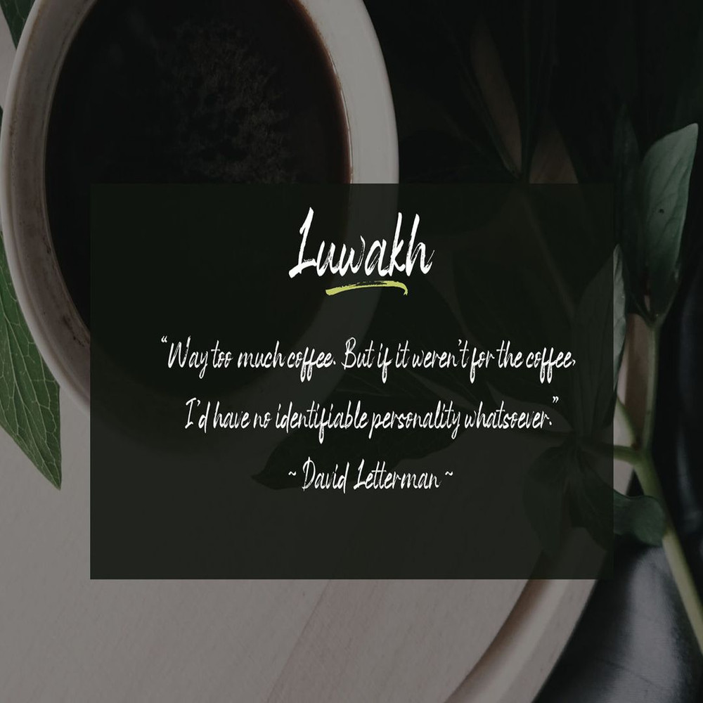 1080x1080 size 5-291-1594x1062.jpg