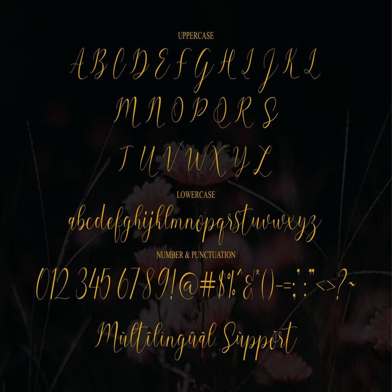 1080x1080 size 7-197-1594x1062.jpg