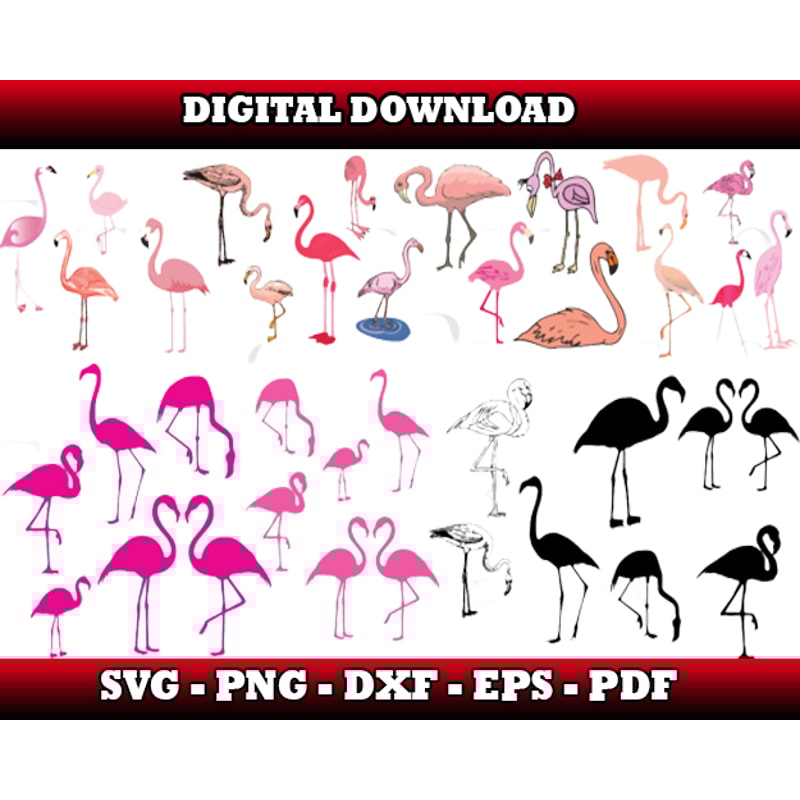 flamingo bundle cricut svg.jpg