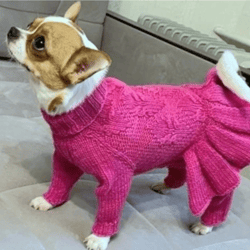 Dog costume for a small dog-girl. Small dog clothes.