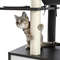 cat-is-scratching-the-cat-tree-furniture