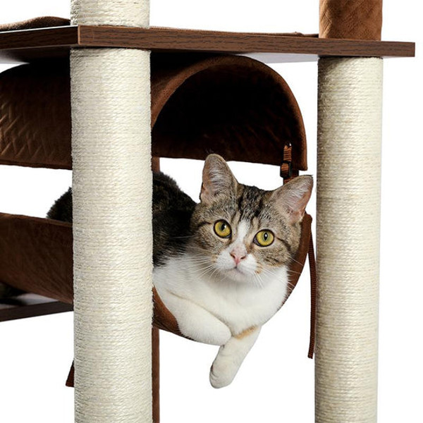 cat-is-relaxing-in-the-cat-tree-tunnel