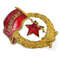 3 Badge GUARDS USSR of the sample 1961.jpg