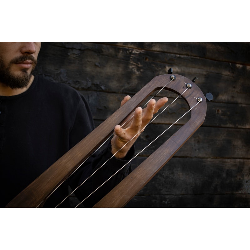 Talha Rp Tagelharpa \ Viking bowed violin \ Bass-Talharpa \ Jouhikko | Inspire ...