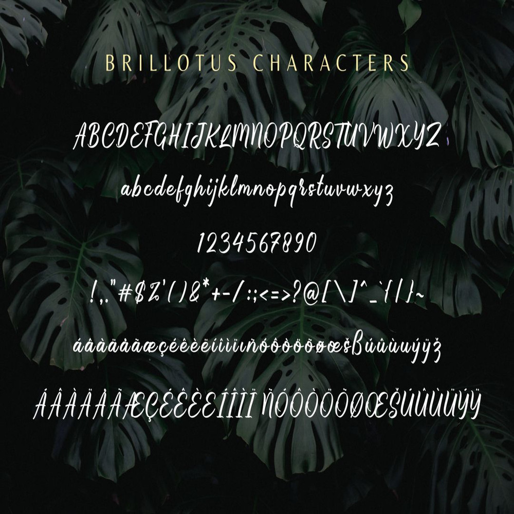 1080x1080 size prev10-1536x1023.jpg