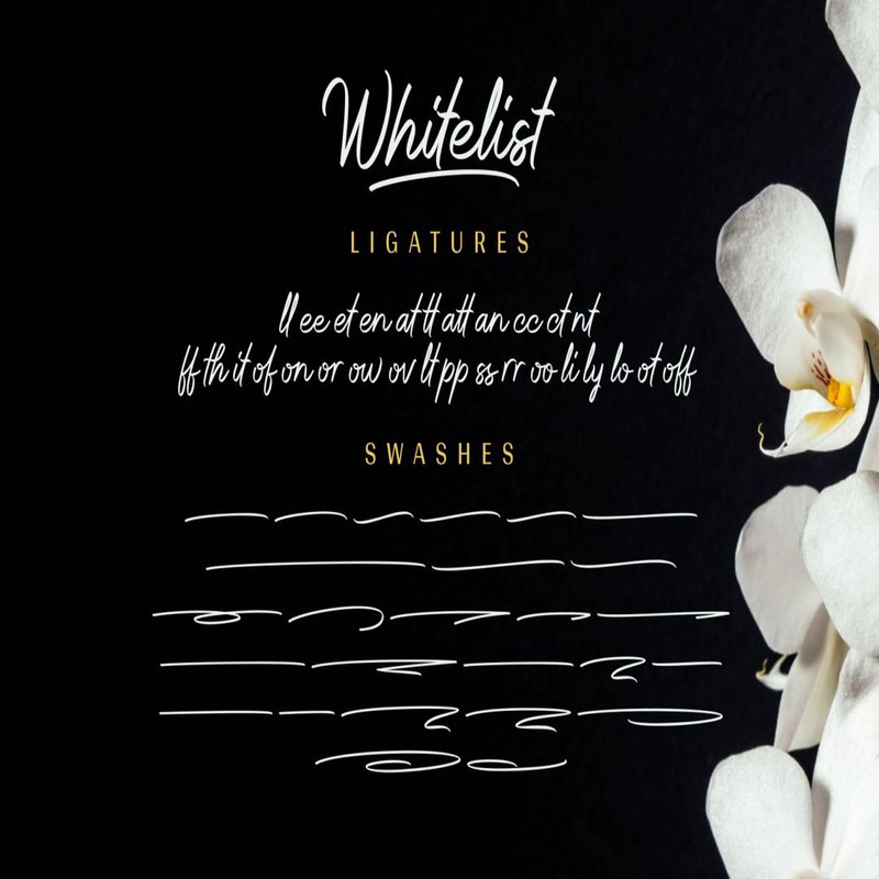 1080x1080 size Whitelist-prev13-1536x1023.jpg