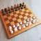 chess_checkers_plastic8.jpg