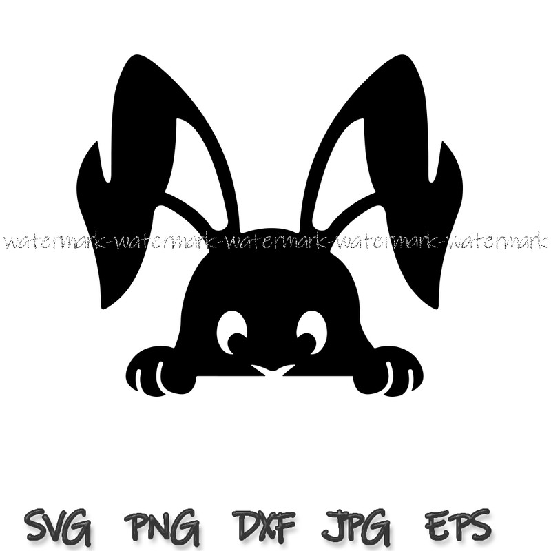 1813 Peek A Boo Bunny.png