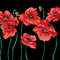 Poppies-VintageBouquet-67-05.jpg