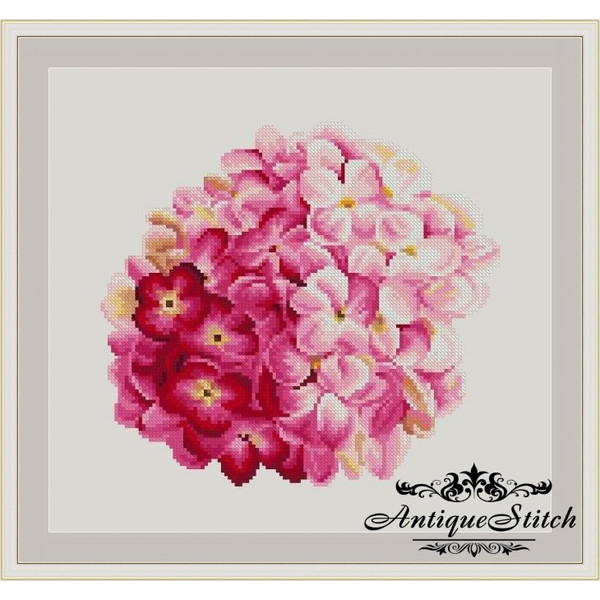 Pink Hydrangea cross stitch pattern