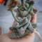 Succulent pattern, realistic plant for interior decor, knitting pattern, handmade plant, cactus lover gift, PDF pattern 2.jpg