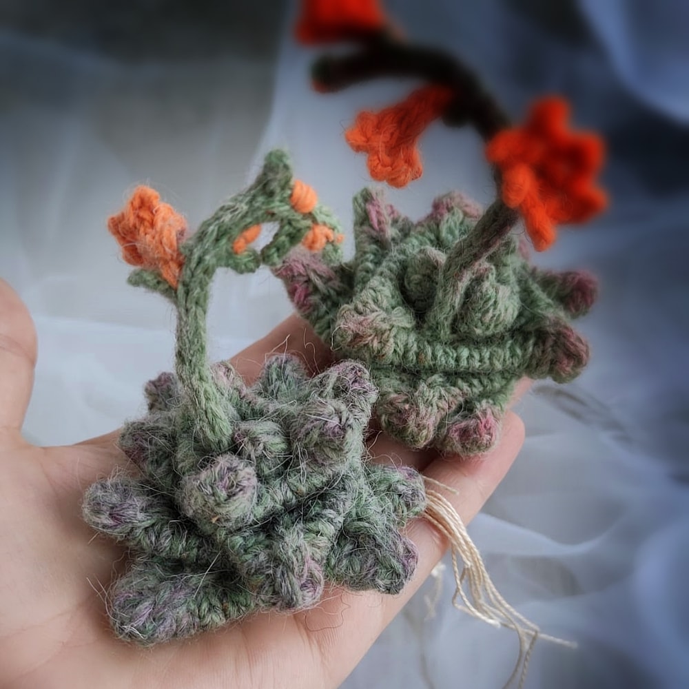 Succulent pattern, realistic plant for interior decor, knitting pattern, handmade plant, cactus lover gift, PDF pattern 3.jpg