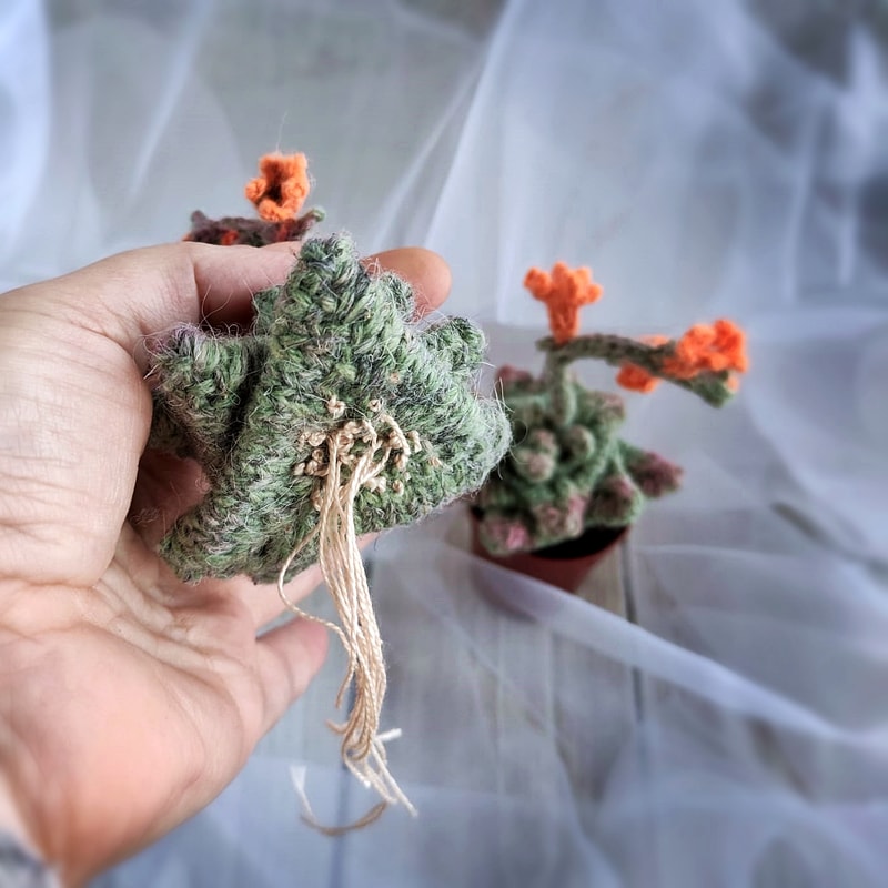 Succulent pattern, realistic plant for interior decor, knitting pattern, handmade plant, cactus lover gift, PDF pattern 5.jpg