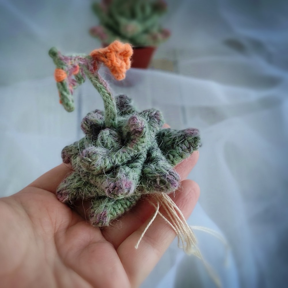Succulent pattern, realistic plant for interior decor, knitting pattern, handmade plant, cactus lover gift, PDF pattern 6.jpg