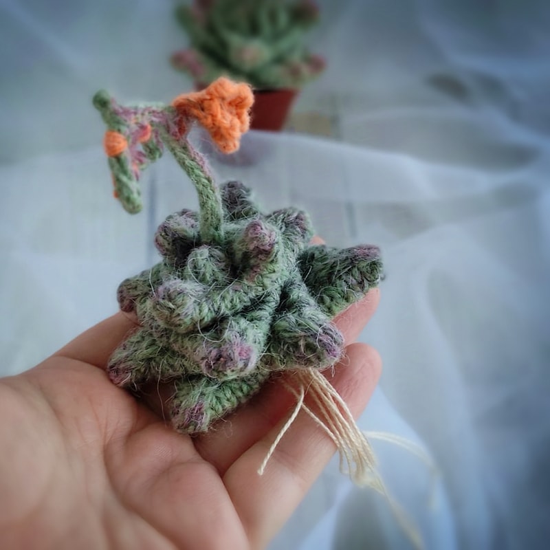 Succulent pattern, realistic plant for interior decor, knitting pattern, handmade plant, cactus lover gift, PDF pattern 6.jpg