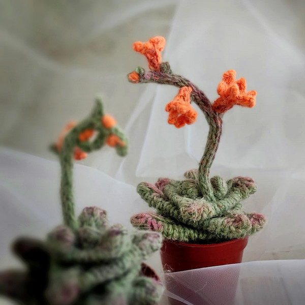 Succulent pattern, realistic plant for interior decor, knitting pattern, handmade plant, cactus lover gift, PDF pattern 8.jpg