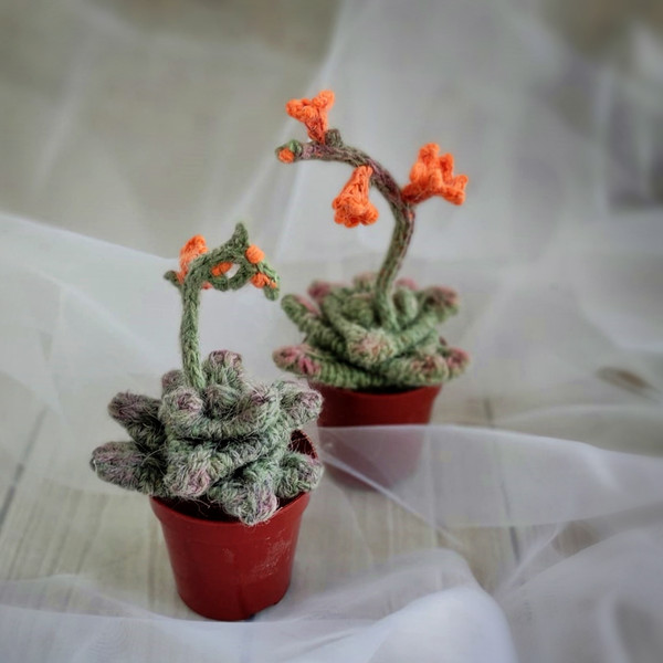 Succulent pattern, realistic plant for interior decor, knitting pattern, handmade plant, cactus lover gift, PDF pattern 9.jpg