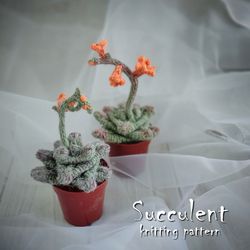 Succulent pattern, realistic plant for interior decor, knitting pattern, handmade plant, cactus lover gift, PDF pattern