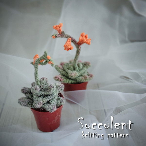 Succulent pattern, realistic plant for interior decor, knitting pattern, handmade plant, cactus lover gift, PDF pattern 1.jpg