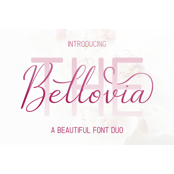 The-Bellovia-Prev1-1536x1024.png