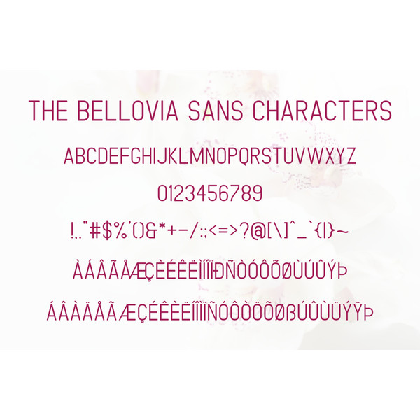The-Bellovia-Prev12-1536x1024.png