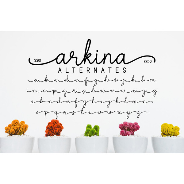 Arkina-prev8-1536x1024.png