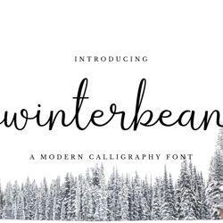 Winterbean Trending Fonts - Digital Font