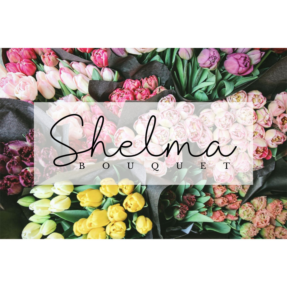 Shantine-prev3-1536x1023.png
