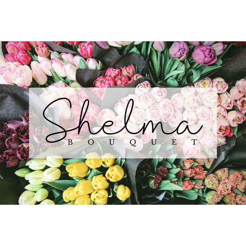 Shantine-prev3-1536x1023.png
